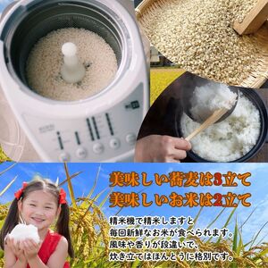 【数量限定】【令和8年度産】那珂川町産芳井米 コシヒカリ 玄米 330g（2合分）×4 | 栃木県 那珂川町 送料無料