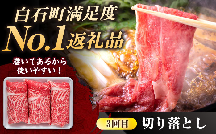 【肉のプロが厳選！】【全3回】佐賀県産和牛 贅沢定期便【株式会社いろは精肉店】 [IAG068]