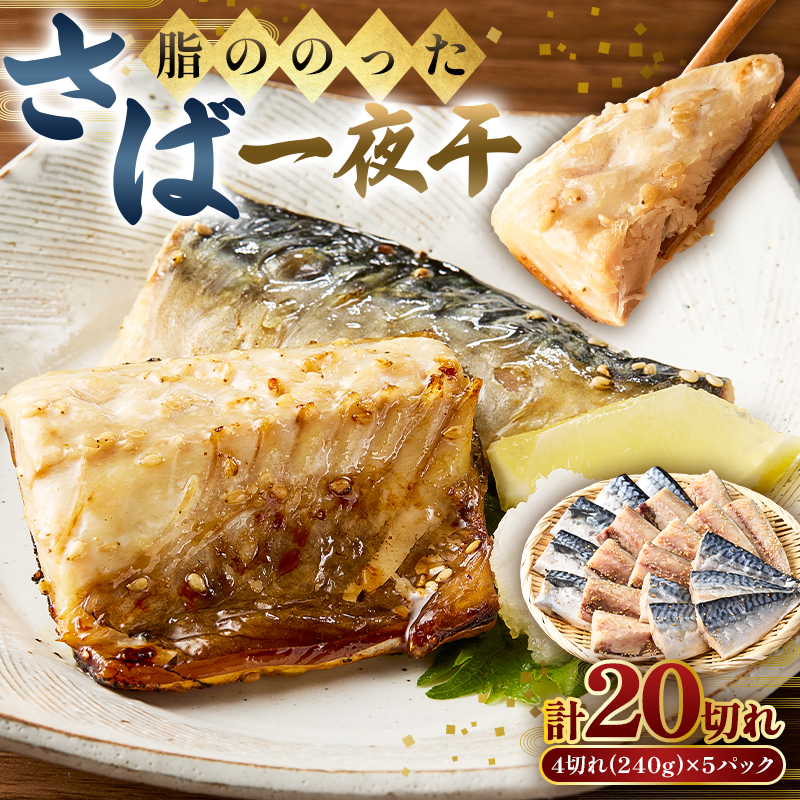 脂ののったさば一夜干　4切れ240g×5パック mi0050-0001