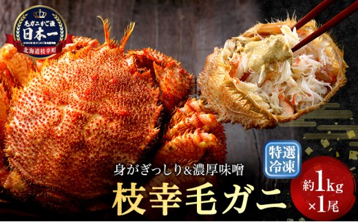 【漁獲量日本一】至福の逸品！特選冷凍「枝幸毛がに」約1kg×1尾 毛蟹 毛ガニ オホーツク 北海道加工食品 地域のお礼の品 カタログ 毛カニ