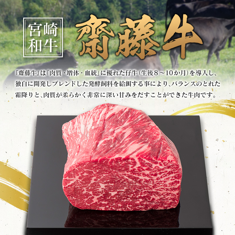 宮崎和牛『齋藤牛』ハンバーグセット 計960g(120g×8個) 牛肉100％使用！【B549】_イメージ2
