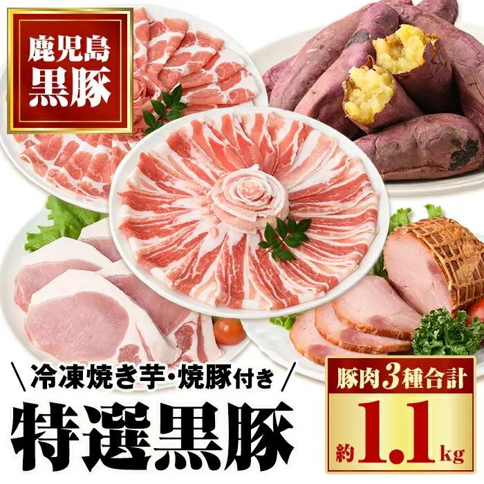 【B02094】特選黒豚(計約1.1kg)、黒豚焼豚(計約400g・200g×2個)、焼き芋(計約800g)セット！ 鹿児島 国産 黒豚 豚肉 お肉 六白 肩ロース 豚バラ ロース とんかつ トンカツ 焼豚 チャーシュー 叉焼 やきいも 焼き芋 紅はるか 冷凍【和田養豚】