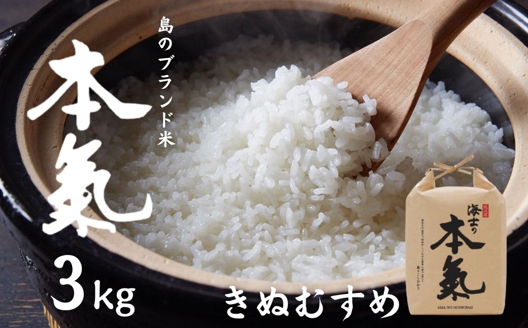 【ふるさと納税】【令和7年度産 本氣米3kg：きぬむすめ】甘くてもっちり島のブランド米 本氣米 お米 精米 白米 弁当 ごはん ご飯 おにぎり