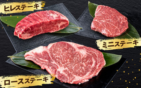 熊本あか牛 ステーキ食べ比べ3種セット（ミニステーキ・ヒレステーキ・ロースステーキ）計約470g牛肉[AYCB086]