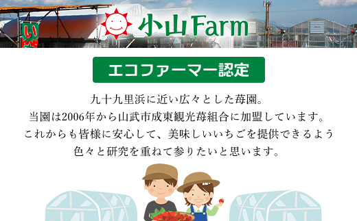 【先行予約】【2027年1月中旬より順次発送】いちご食べ比べセット（最大6品種の食べ比べ） SMAN064