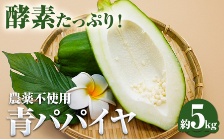パパイヤ  5kg ゆいやわす《9月下旬-12月中旬頃出荷予定》