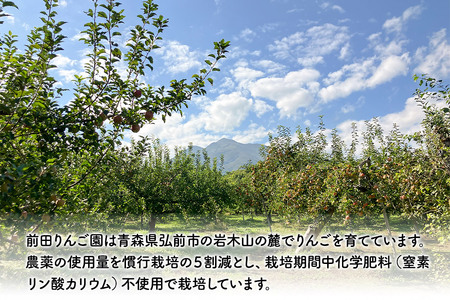 【レビューキャンペーン】【25年10月発送】りんご【家庭用】紅玉 約5kg  前田りんご園
