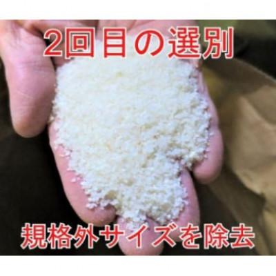 ふるさと納税 大仙市 【毎月定期便】全8回5kg(5kg×1袋)大手有名百貨店出荷米あきたこまち【令和7年産】全8回 |  | 01