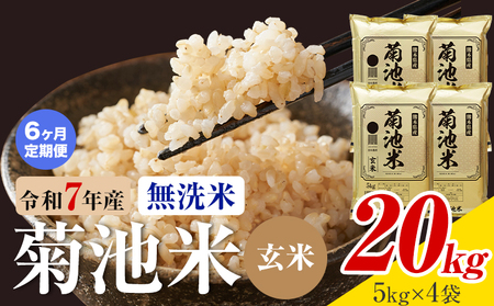 【6ヶ月定期便】熊本県産 菊池米 玄米 無洗米 20kg 1袋5kg 米 お米 令和7年産 九州産 熊本県産 送料無料《お申込み翌月に出荷予定》玄米 米