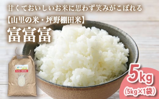 
            山の湧き水 寒暖差 山里 山里の米･坪野米 R7年産 富富富 5kg ｜ふふふ 新米 こめ コメ お米 おこめ 白米 精米 香り うまみ あまみ  自慢 高品質 富山 魚津　※北海道・沖縄・離島への配送不可　※2025年9月下旬～2025年10月中旬頃に順次発送予定
          