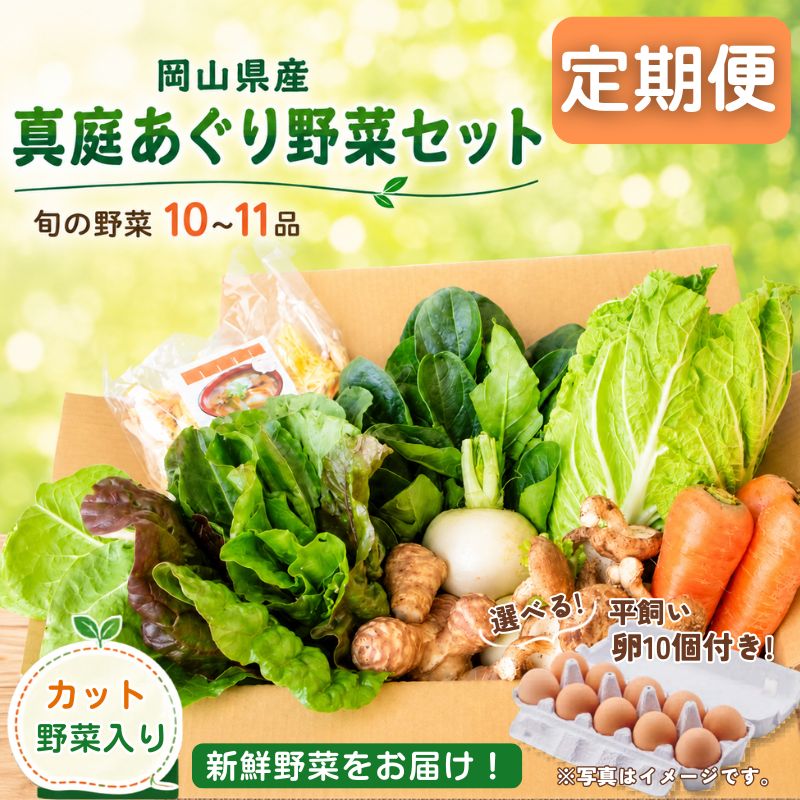 【ふるさと納税】【定期便】真庭あぐり野菜セットカット野菜が1品入る 10～11品 平飼い卵付き / 詰め合わせ 産地直送 岡山県 真庭市 新鮮 あぐりガーデン 産直工房 国産【配送不可地域：北海道／沖縄県／離島】