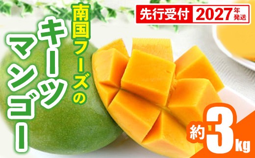 
                  【先行受付】【2027年発送】南国フーズのキーツマンゴー 約3kg - 先行予約 沖縄 産地直送 南国フルーツ 旬の味覚 沖縄県産 国産マンゴー 希少種 オススメ 沖縄県 八重瀬町
                