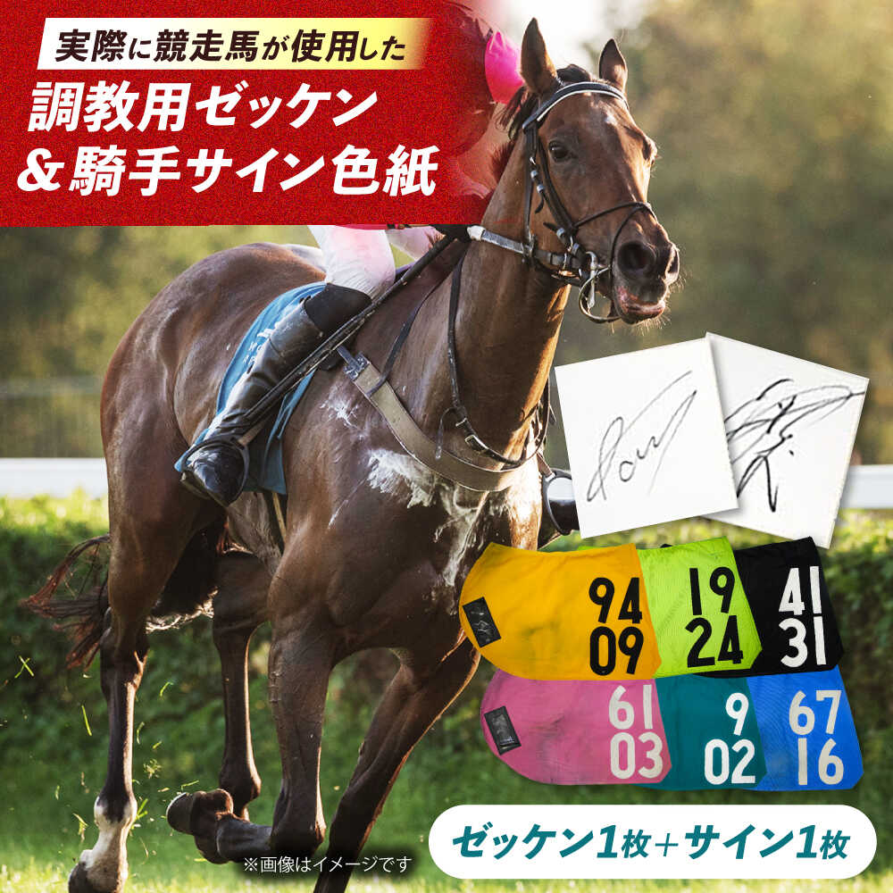 【ふるさと納税】【JRA/日本中央競馬会】無くなり次第終了！調教用ゼッケンと騎手サイン色紙 （栗東カラー）/ 競馬 競走馬 馬 競馬グッズ 騎手 JRA トレセン ウマ 有馬記念 / 栗東市 / 栗東市役所[BIAM003]