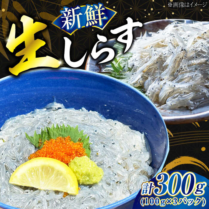 【ふるさと納税】生しらす 100g×3個 広島県江田島市/七宝丸[XBY013]｜しらす シラス 冷凍 小分け 魚介類 海鮮 丼【7日以内発送】