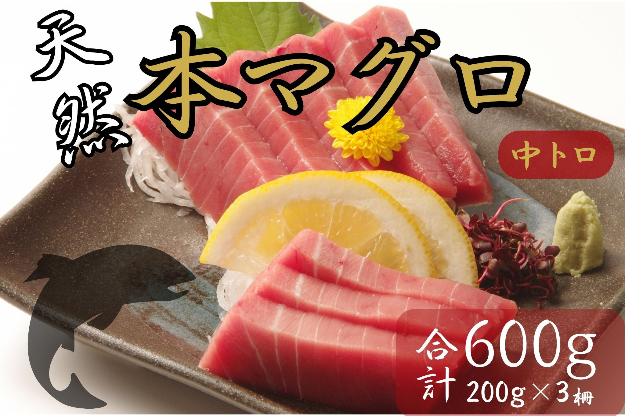 
                  天然本マグロ　中トロ　３柵（６００ｇ）まぐろ 鮪 海鮮 冷凍 さしみ 刺身 父の日 高知 室戸 マグロ
                