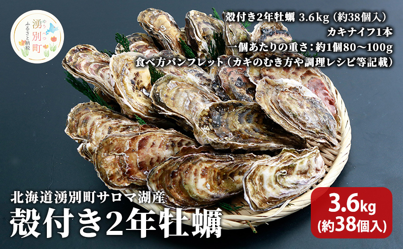 北海道 湧別町 サロマ湖産　殻付き2年 牡蠣 3.6kg(約38個入) カキ 魚貝類 生牡蠣 海鮮 国産 海のミルク 海の幸 身入りが良い つまみ 肴 あて北海道産 生食可 生食 牡蠣ナイフ付き 