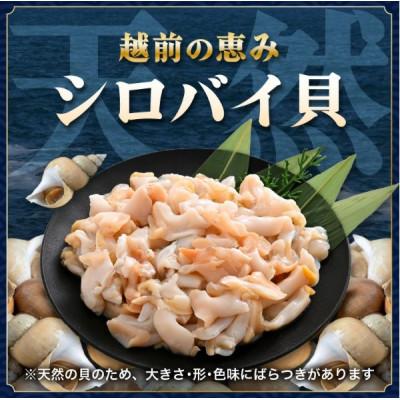 ふるさと納税 越前町 【先行予約】越前町産 天然 シロバイ貝むき身(加熱用・下処理済み)150g×3袋(計450g) |  | 01