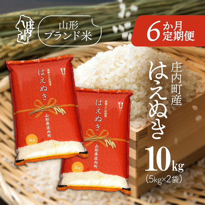 【ふるさと納税】＜10月中旬発送＞庄内米6か月定期便！はえぬき 10kg（入金期限：2025.9.25） 5kg×2袋 毎月中旬 ふるさと納税 米 定期便 山形県 新米受付 新米