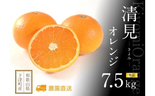 
            和歌山県海南市「まごころ産直みかん」から産地直送 清見オレンジ 7.5kg 【赤秀】（M・L・２L・３Lサイズおまかせ）［2026年3月中旬から4月中旬頃順次発送予定］
          