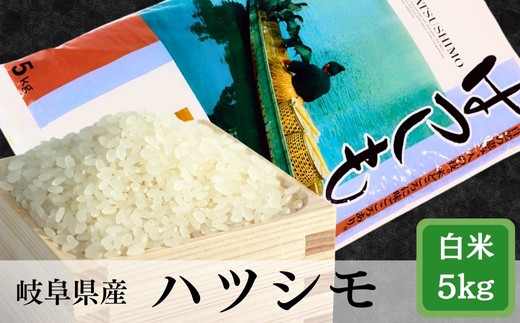 
                  ≪令和7年産≫＼選べる回数／岐阜 ハツシモ 約5kg
                