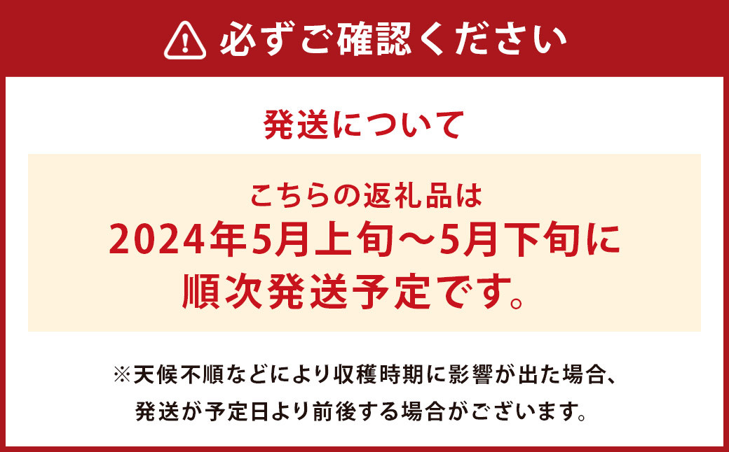 七城の恵みまるごと詰め合わせＢ(特別栽培米2kg・肥後グリーン1玉)【2024年5月上旬～5月下旬発送予定】