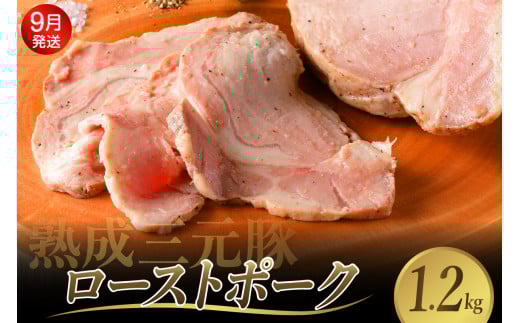 【2025年9月末まで発送】熟成三元豚プレミアムローストポーク 計1.2kg 豚肉 ブロック 肉 小分け パック 低温熟成 人気 おつまみ 惣菜 おかず サラダ ポークステーキ お祝い 誕生日 記念日 お取り寄せ グルメ 送料無料 広島県 呉市