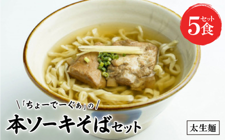 〈太生麺〉ちょーでーぐぁ 沖縄そば(本ソーキ)5食セット【配送不可地域：離島】【1523012】