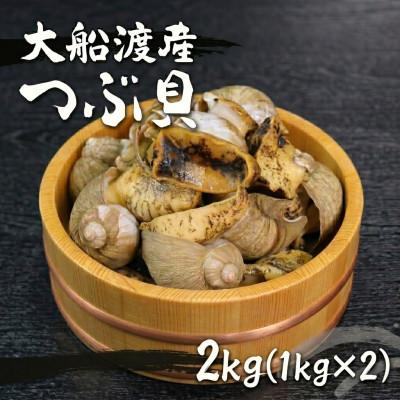 ふるさと納税 大船渡市 大船渡産 ボイルつぶ貝 1kg×2 計2kg [kouyou027]