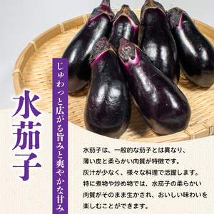 水茄子 約1.2kg 美～ナス 3本 詰合せ セット なすび 茄子 翡翠茄子 水なす ナス なす
