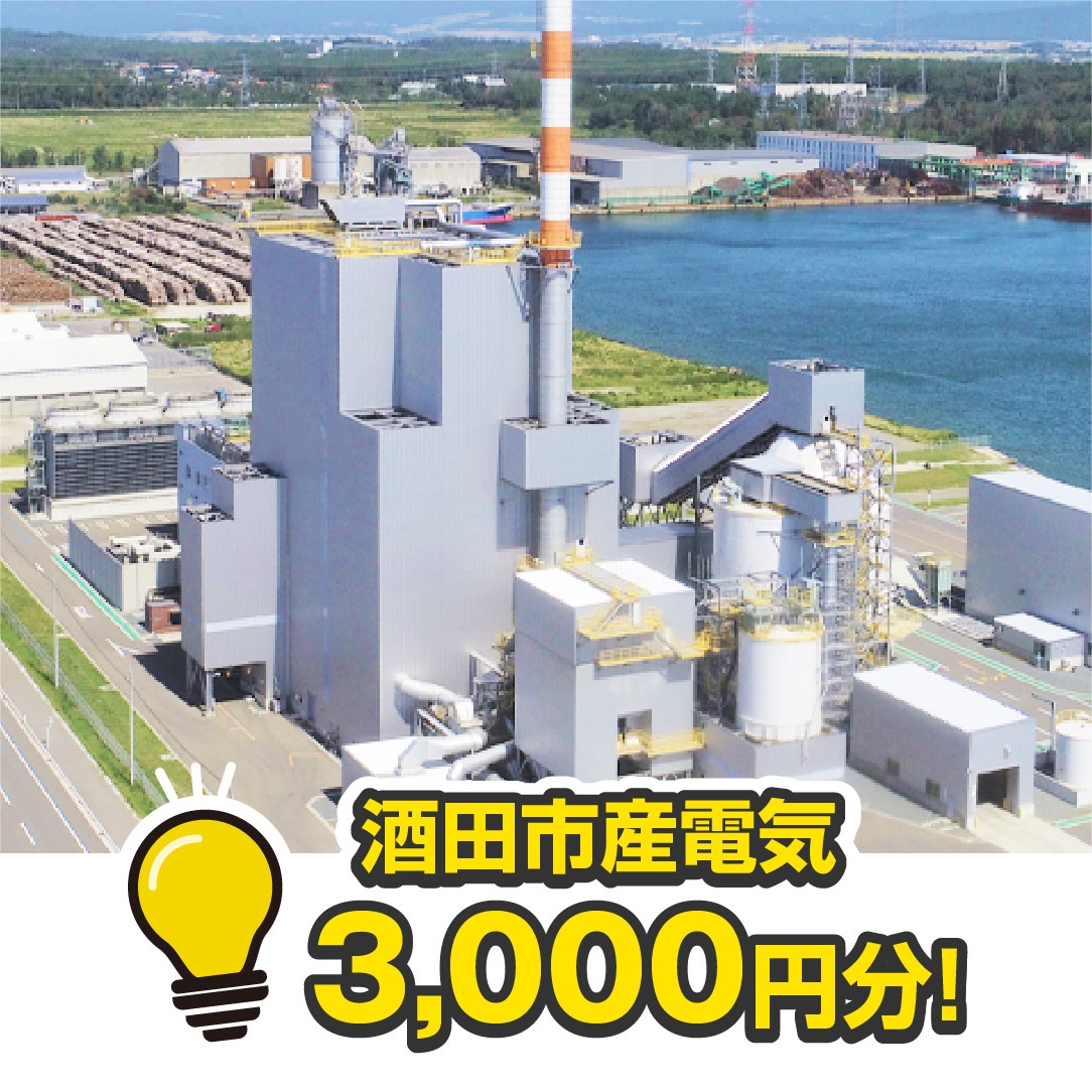 
SED0001　酒田産電気　3,000円相当分
