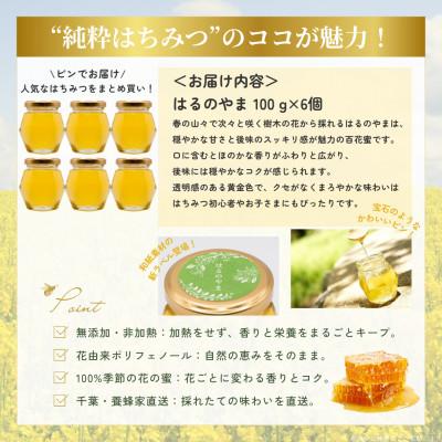 ふるさと納税 大網白里市 【数量限定】千葉県産「純粋はちみつ」はるのやま(百花蜜)100g×6個 |  | 03