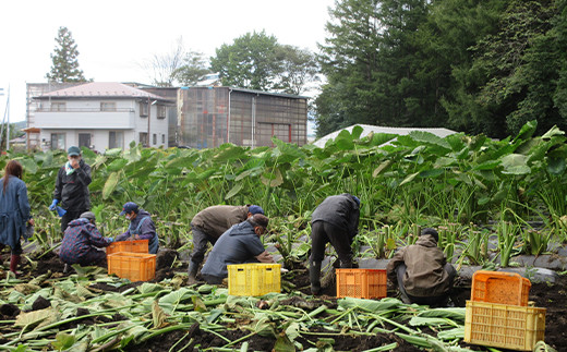 「ポパイの家」の利用者さんが種まき・草取り・収穫までを行っています