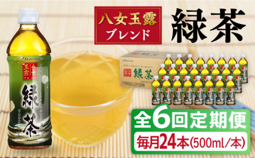 
【全6回定期便】八女 玉露入り 緑茶 500ml × 24本 糸島市 / スターナイン お茶 ペットボトル [ARM016]
