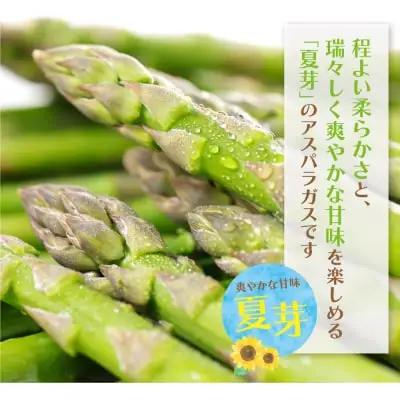 Z18-23 寄附額改定↓↓ 【訳あり】清流・有機肥料使用 アスパラガス(夏芽) 1kg 【2026年6月より順次出荷】