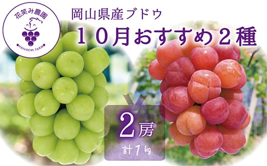 岡山　花笑み農園のブドウ『10月おすすめ 2種セット』1kg　2M-1L【1650775】