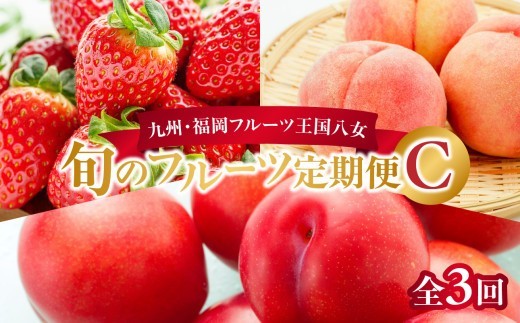 九州・福岡フルーツ王国八女 旬のフルーツ定期便【全3回】C ＜配送不可：北海道・沖縄・離島＞ フルーツ 定期便 あまおう もも すもも 季節のフルーツ 果物 おすすめ セット 産地直送 福岡県 八女市