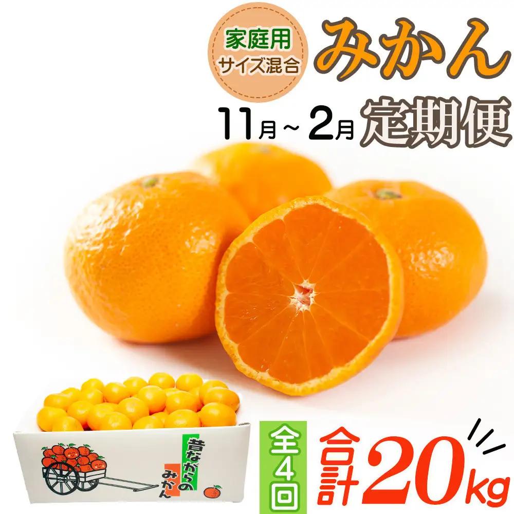 【定期便4か月】みかん 5kg 4回 お届け ご家庭用混合サイズ 早生・蔵出しみかん