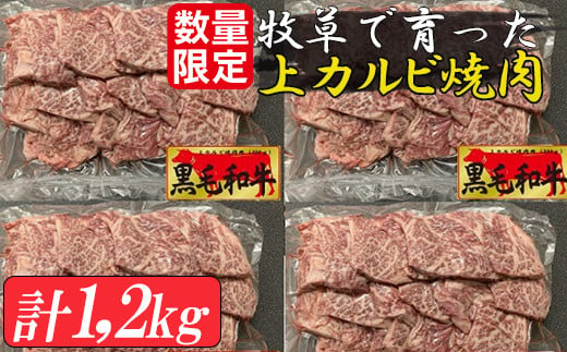 
牧草で育った黒毛和牛　上カルビ焼肉１．２ｋｇセット（３00ｇ×4袋）（数量限定）
