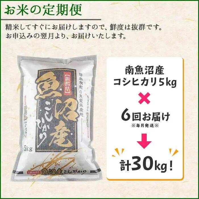 【令和7年産】【定期便】新潟県 南魚沼産 コシヒカリ お米 5kg×計6回 精米済み 半年 毎月発送 （お米の美味しい炊き方ガイド付き）
