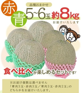 SC0677　特選 庄内産 赤肉・青肉メロンミックス　約8kg(大玉 5～6玉入) 品種おまかせ