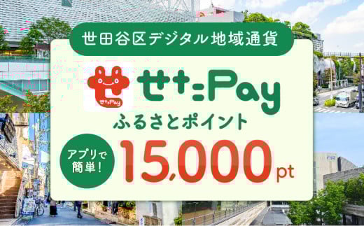 世田谷区 地域限定通貨「せたがやPay」 ふるさとポイント15,000pt（1pt＝1円）15,000円分 せたぺい デジタル地域通貨 電子決済 キャッシュレス 飲食 宿泊 体験 電子通貨 東京都 世田谷