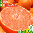 【ふるさと納税】《レビューキャンペーン》家庭用 完熟 有田 みかん 3kg+90g 5kg+150g 10kg+300g（傷み補償分）選べる【わけあり・訳あり】 池田鹿蔵農園@日高町（池田農園株式会社）《11月中旬-1月末頃出荷》和歌山県 日高町【配送不可地域あり】みかん 有田みかん