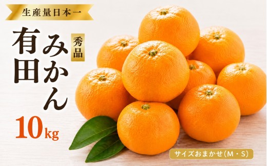 特選紀州有田みかん　秀品　約１０kgサイズおまかせ(М・Ｓ)　※2026年11月下旬から順次発送予定 | みかん ミカン 蜜柑 有田みかん ブランドみかん フルーツ 果物 くだもの 秀品みかん 家庭用 旬 産地直送 予約【sml915】