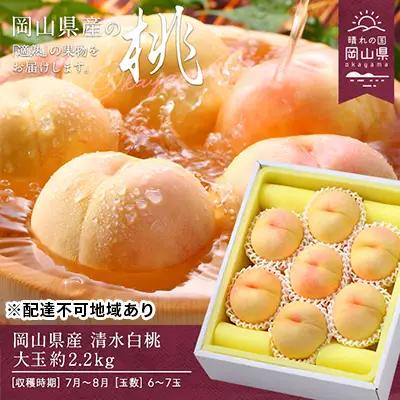 桃 2026年 先行予約 清水白桃 約2.2kg 大玉 6～7玉  岡山県産 桃