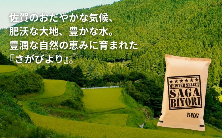 五つ星お米マイスターが厳選！【新米】令和7年産 佐賀県産 さがびより 白米 10kg（5kg×2袋）おこめ 米 ：B320-015
