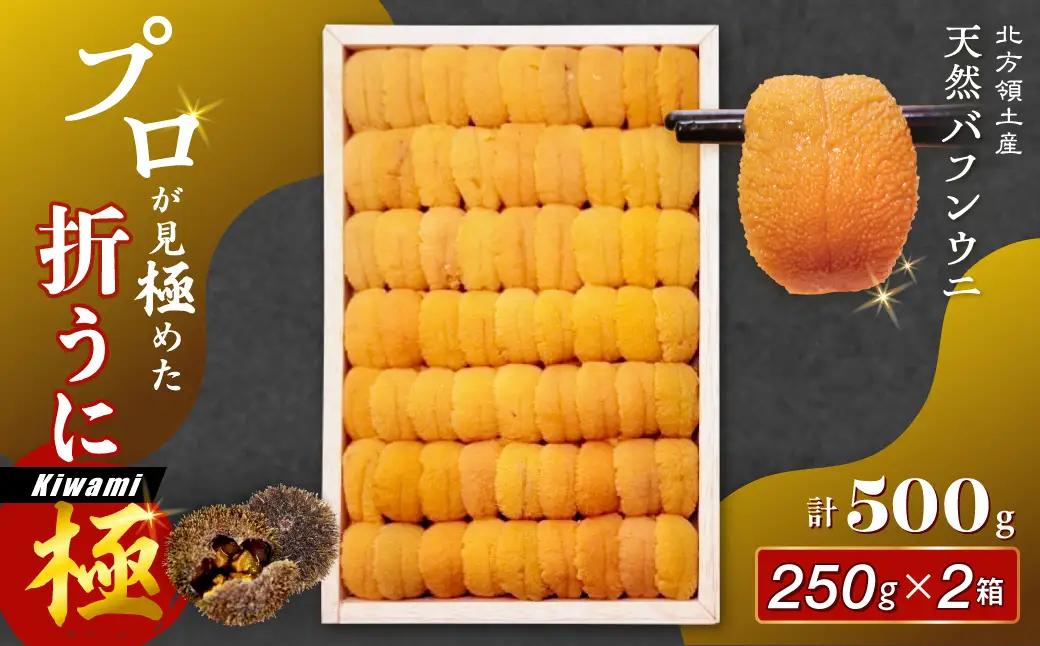 ≪プロ厳選≫最高級折うに(極)計500g うに ウニ 雲丹 折うに 海鮮 海産物 北海道 浜中町 ふるさと納税 人気_H0014-101