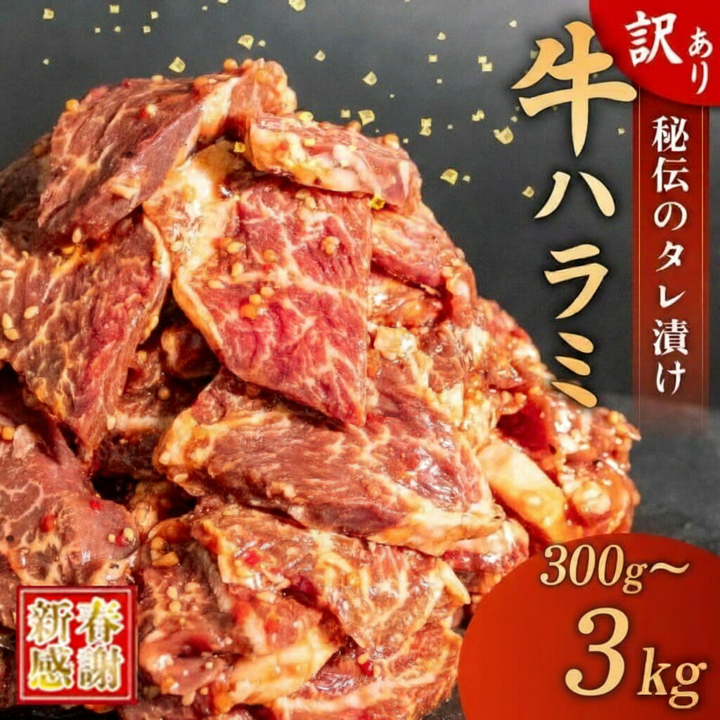 【ふるさと納税】 牛ハラミ ( 300g ～ 3kg × 1パック ～ 10パック ) ハンバーグ ( 200g × 5 ～ 10個 ) セット 選べる 内容量 秘伝のタレ 牛肉 タレ漬け 小分け お弁当 ハラミ肉 焼肉 訳あり 肉 こだわり ハラミ 大容量 個包装 簡単調理 食べ比べ 冷凍 須崎市