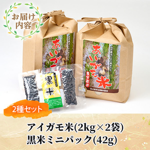 ＜令和5年産＞アイガモ米(2kg×2個)と黒米(42g)【MU015】【日之影町村おこし総合産業(株)】