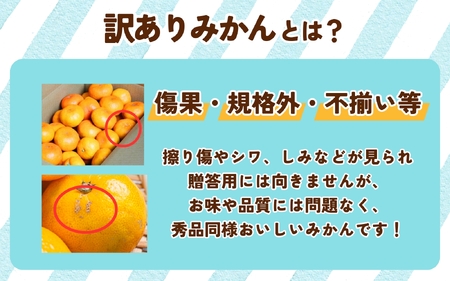 みかん 訳あり有田みかん 約10kg【nuk138H】