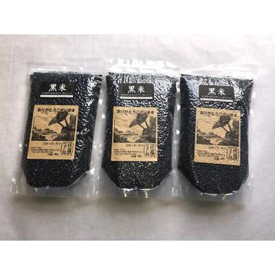 ふるさと納税 九重町 佐藤ファームの黒米(玄米) 700g×3個